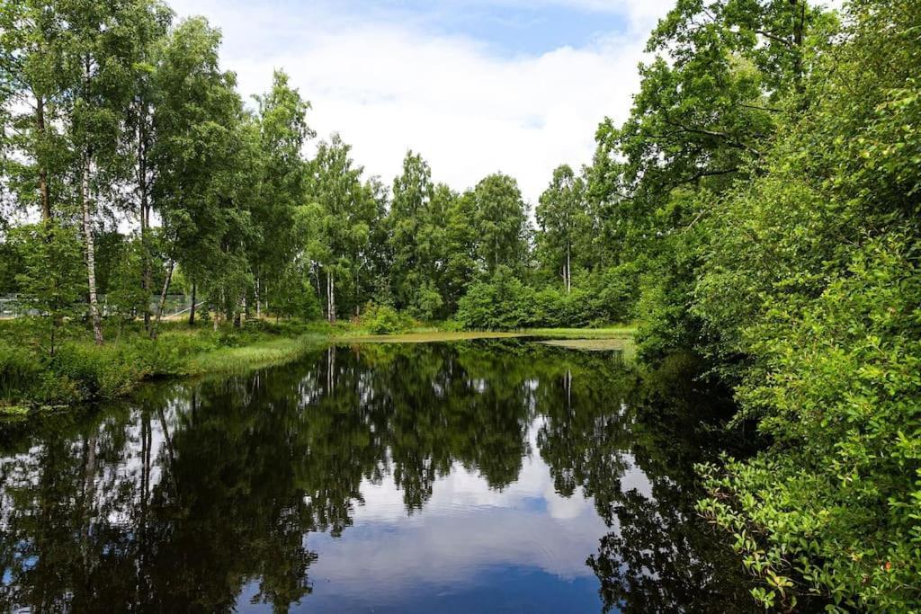 Cosy W Fireplace 3 Mins From Soederasen Park Ljungbyhed